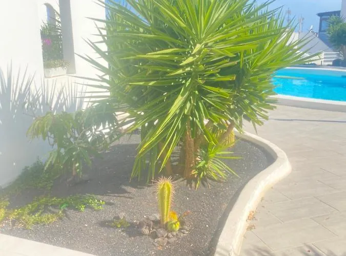 Arcos 305 * プエルト・デル・カルメン